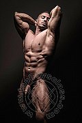 Belluno  Francesco 342 5786847 foto hot 1