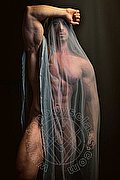 Belluno  Francesco 342 5786847 foto hot 2