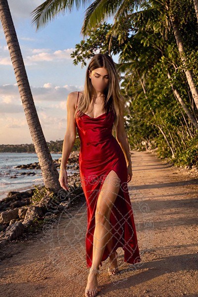 Transex Italiana  RIMINI 3427405556